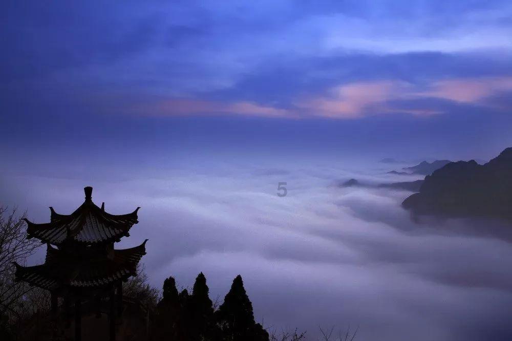 精彩乒乓球赛
