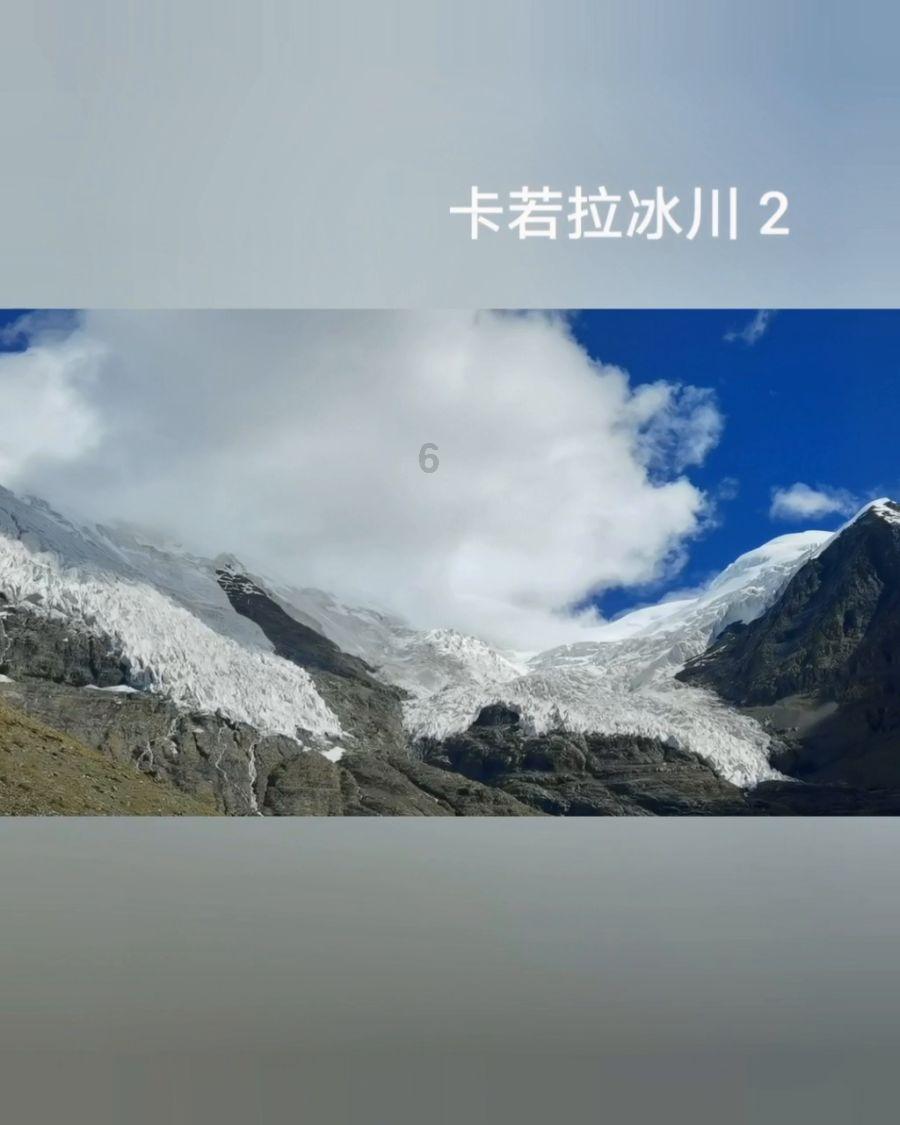 付强代表:以特色产业激发乡村发展新活力