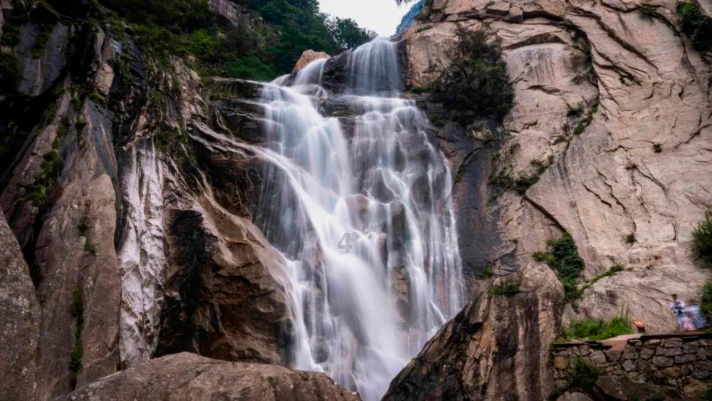 救援鹦鹉